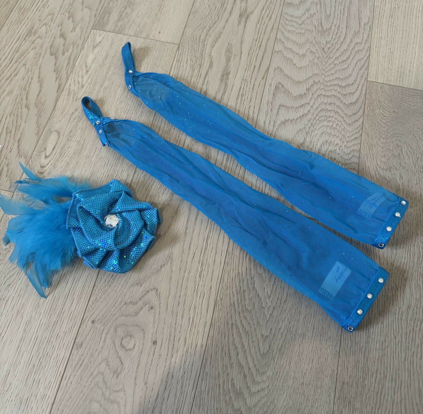 Blue Feathered Costume