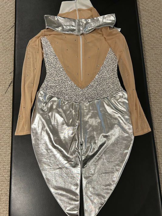 Silver shimmery and sparkly costume