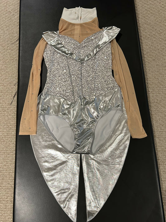 Silver shimmery and sparkly costume